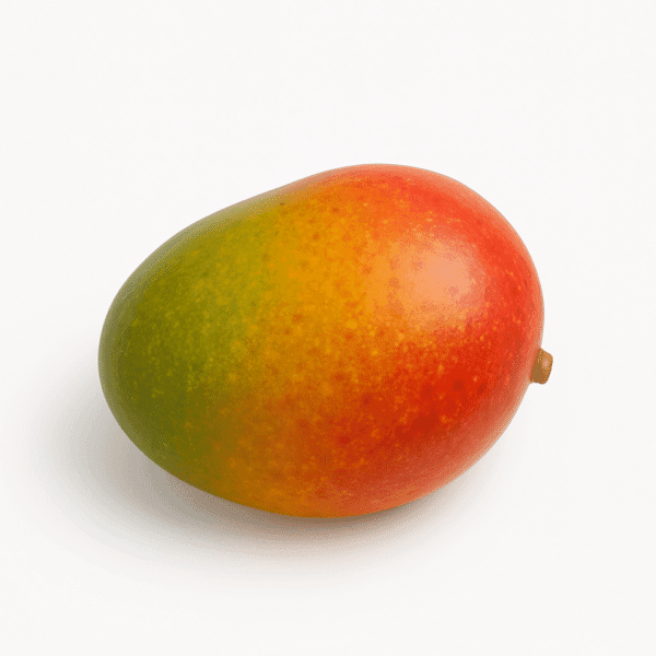 Mangue