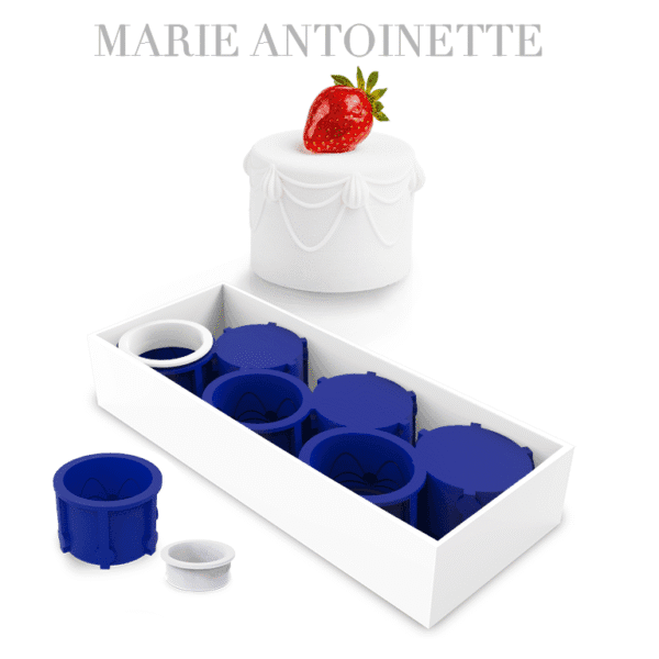 Moule « Marie Anoitnette» – Signature MOF Paul Occhipinti – Image 3