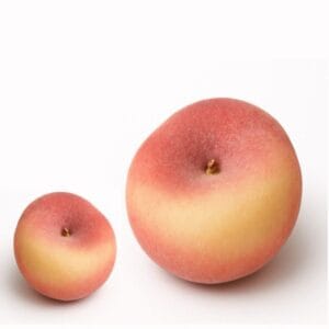 Pêche plate entremet